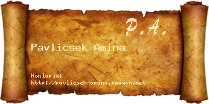 Pavlicsek Amina névjegykártya